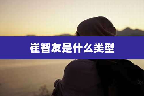 崔智友是什么类型