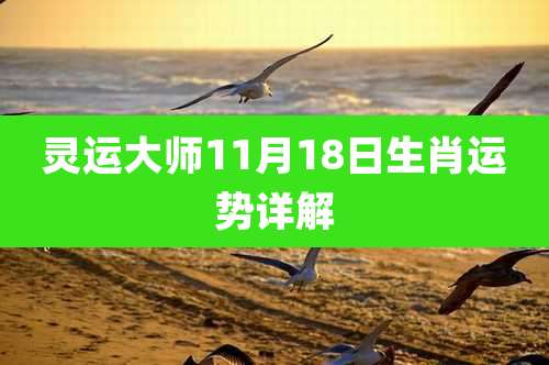 灵运大师11月18日生肖运势详解