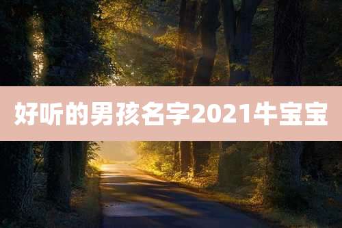 好听的男孩名字2021牛宝宝