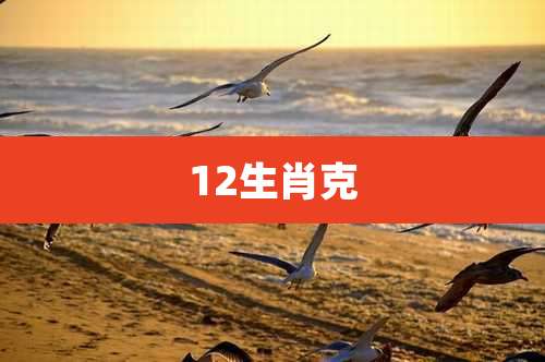 12生肖克