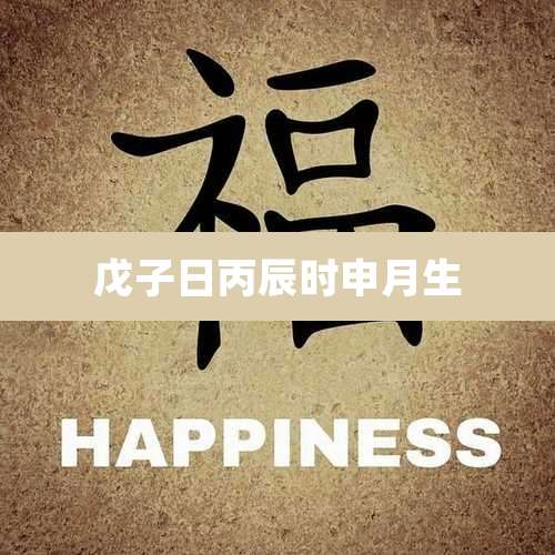 戊子日丙辰时申月生