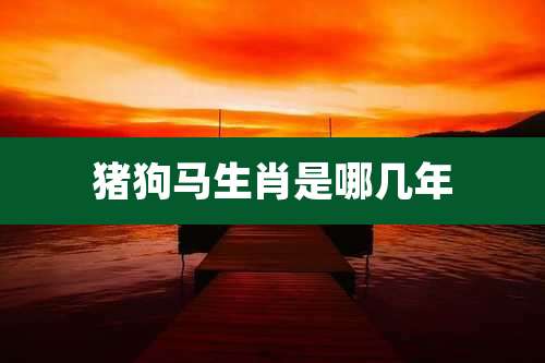 猪狗马生肖是哪几年