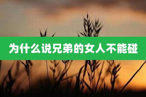 为什么说兄弟的女人不能碰