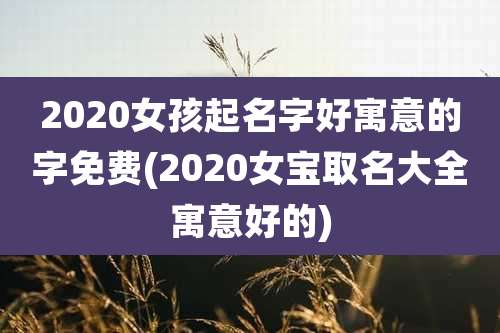 2020女孩起名字好寓意的字免费(2020女宝取名大全寓意好的)