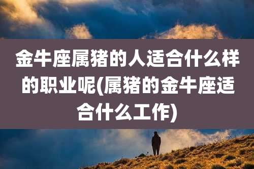 金牛座属猪的人适合什么样的职业呢(属猪的金牛座适合什么工作)