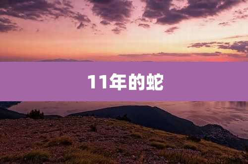 11年的蛇