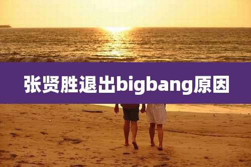 张贤胜退出bigbang原因