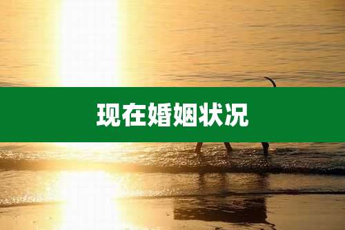 现在婚姻状况