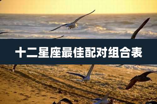 十二星座最佳配对组合表