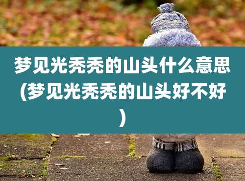 梦见光秃秃的山头什么意思(梦见光秃秃的山头好不好)