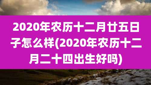 2020年农历十二月廿五日子怎么样(2020年农历十二月二十四出生好吗)
