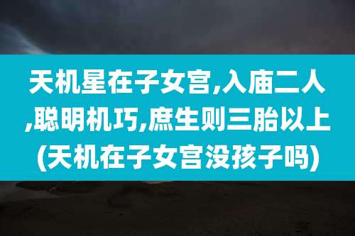天机星在子女宫,入庙二人,聪明机巧,庶生则三胎以上(天机在子女宫没孩子吗)