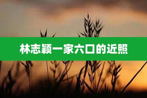 林志颖一家六口的近照