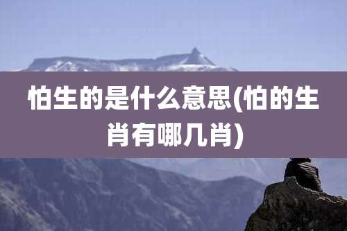 怕生的是什么意思(怕的生肖有哪几肖)