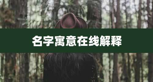 名字寓意在线解释