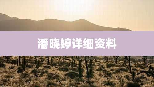 潘晓婷详细资料