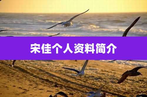 宋佳个人资料简介