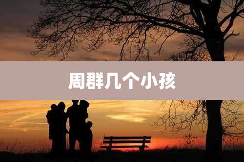 周群几个小孩