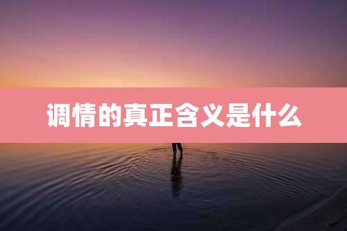 调情的真正含义是什么