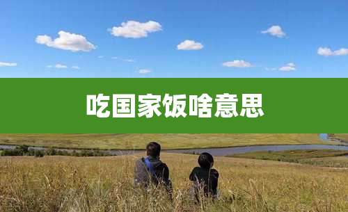 吃国家饭啥意思