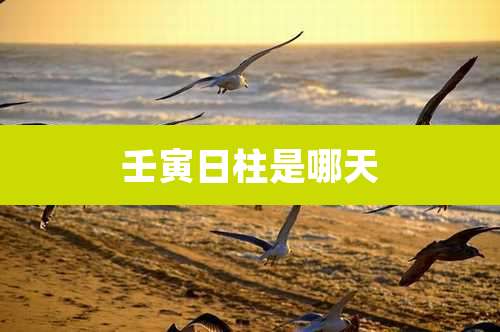 壬寅日柱是哪天