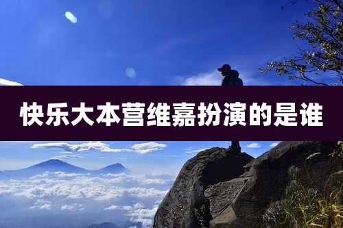 快乐大本营维嘉扮演的是谁