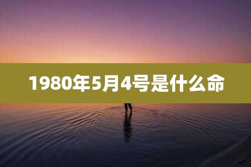 1980年5月4号是什么命