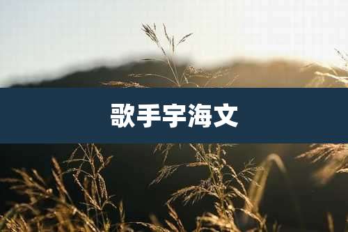 歌手宇海文