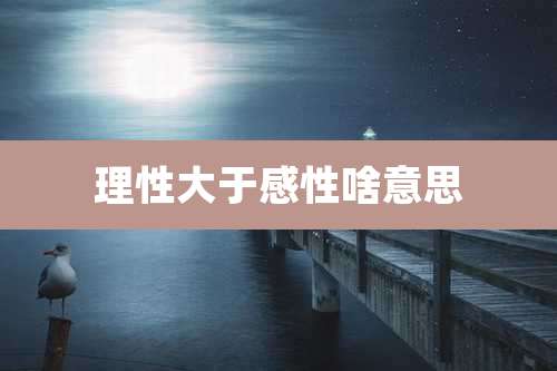 理性大于感性啥意思