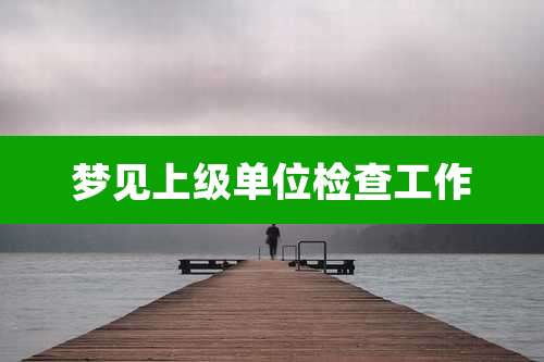 梦见上级单位检查工作
