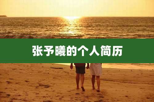 张予曦的个人简历