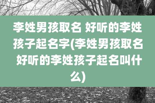 李姓男孩取名 好听的李姓孩子起名字(李姓男孩取名 好听的李姓孩子起名叫什么)