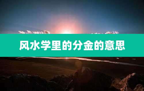 风水学里的分金的意思