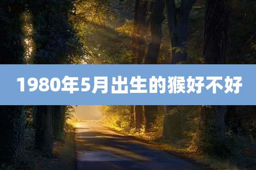 1980年5月出生的猴好不好