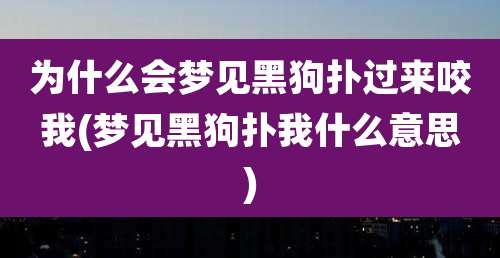 为什么会梦见黑狗扑过来咬我(梦见黑狗扑我什么意思)