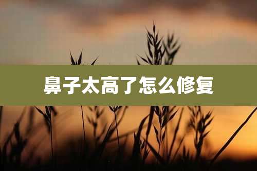 鼻子太高了怎么修复