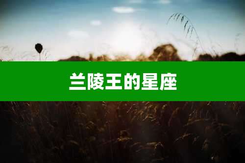 兰陵王的星座