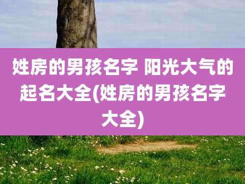 姓房的男孩名字 阳光大气的起名大全(姓房的男孩名字大全)