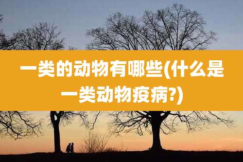 一类的动物有哪些(什么是一类动物疫病?)