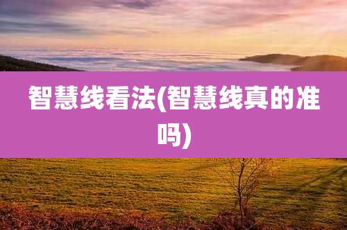 智慧线看法(智慧线真的准吗)