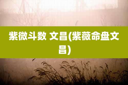 紫微斗数 文昌(紫薇命盘文昌)