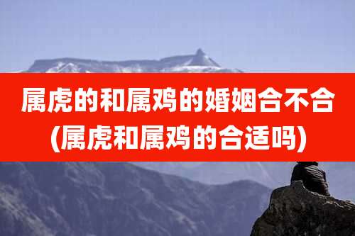 属虎的和属鸡的婚姻合不合(属虎和属鸡的合适吗)