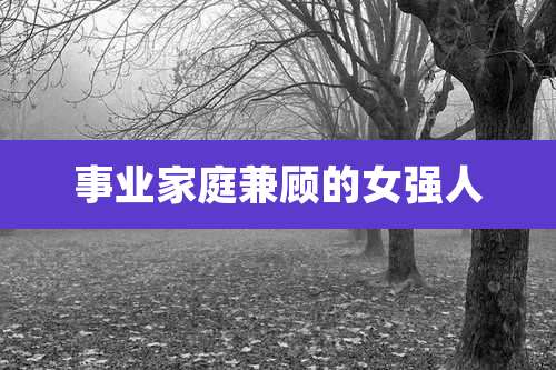 事业家庭兼顾的女强人