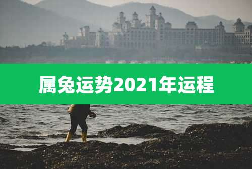 属兔运势2021年运程
