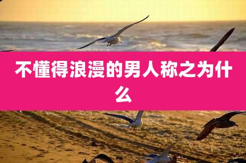 不懂得浪漫的男人称之为什么