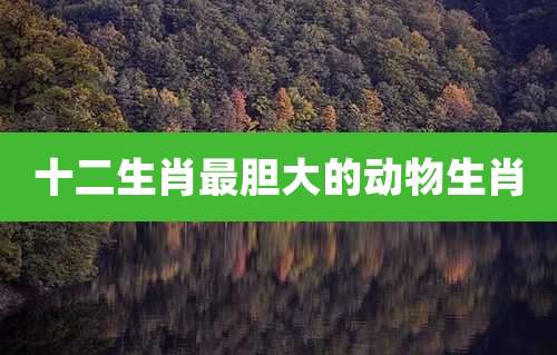 十二生肖最胆大的动物生肖