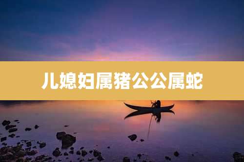 儿媳妇属猪公公属蛇