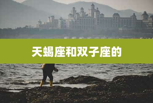 天蝎座和双子座的