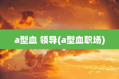 a型血 领导(a型血职场)