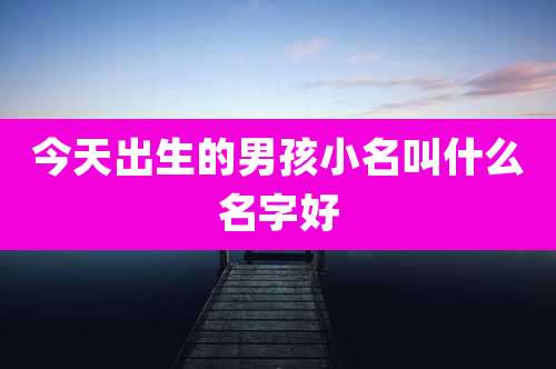 今天出生的男孩小名叫什么名字好